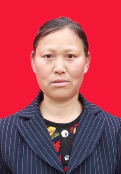 丁明書