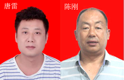 唐雷、陳剛